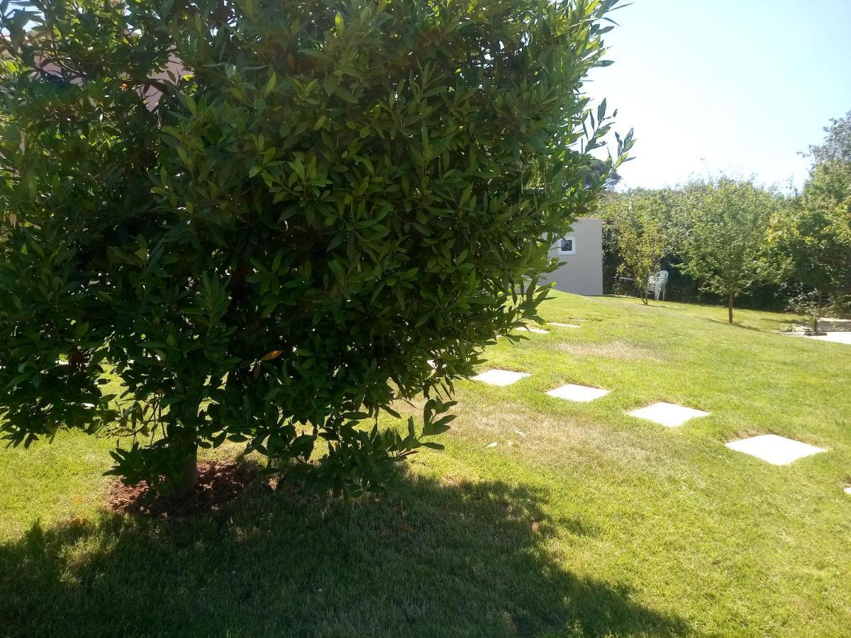 Casal Do Pinheiro Villa Óbidos Exterior foto